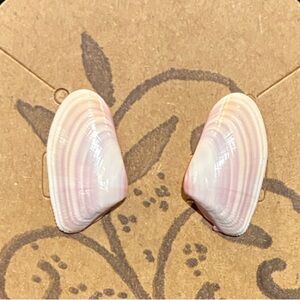 Pink Shell Teardrop Stud Earrings